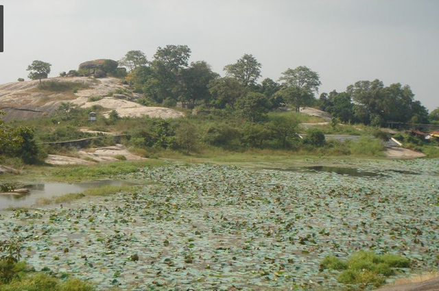 Shri Digamber Jain Siddhakshetra Kolhuaa pahad Jharkhand